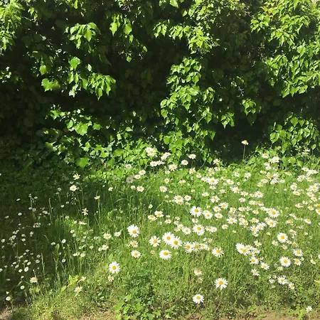 Magic Forest Design Apartment, 65 Zoll Tv, Waschtrockner, Lage, Am Markt Διαμέρισμα