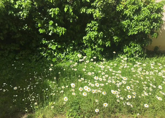 Magic Forest Design Apartment, 65 Zoll Tv, Waschtrockner, Lage, Am Markt Appartement