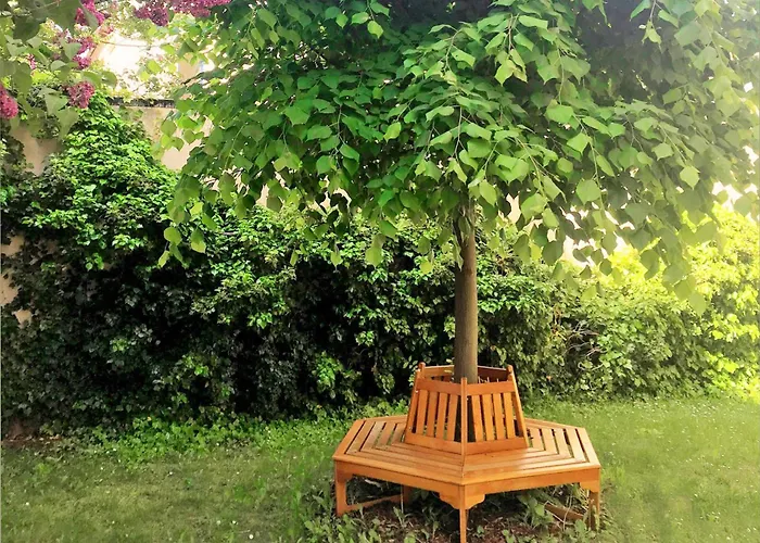 Appartement Magic Forest Design Apartment, 65 Zoll Tv, Waschtrockner, Lage, Am Markt