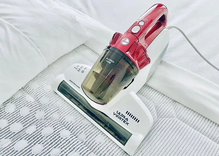 Magic Forest Design Apartment, 65 Zoll Tv, Waschtrockner, Lage, Am Markt Appartement Gera